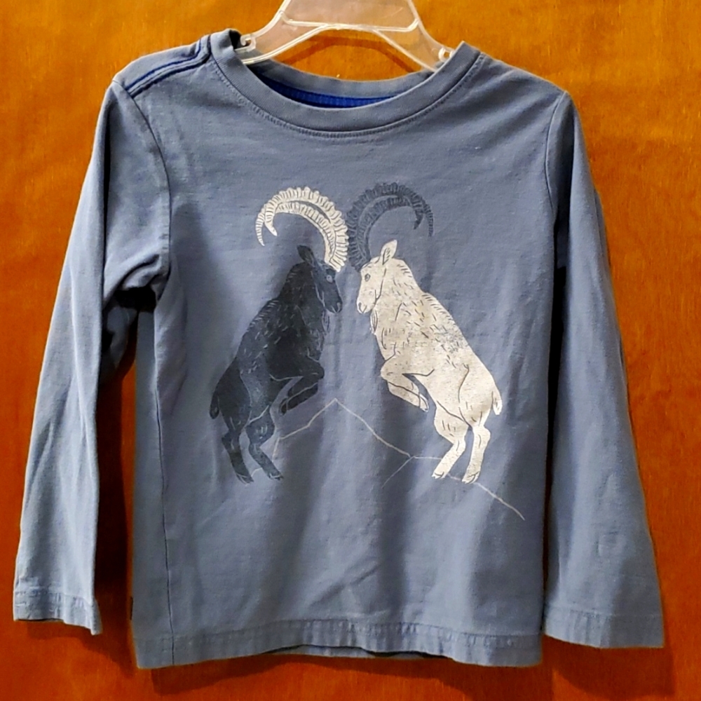 Tea Collection fighting rams t-shirt